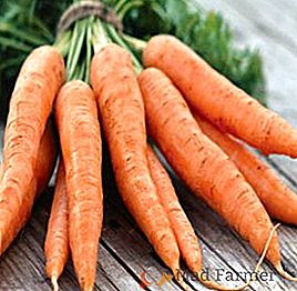 Торове и горна превръзка на моркови на открито