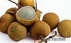 Fruit longan: Valeur calorique, composition chimique, bienfait et nocivité