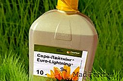 Herbicide "EuroLiting": instruction, spectre d'action, taux de consommation