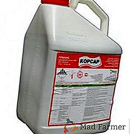 Herbicide "Korsar": substance active, spectre d'action, instruction