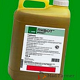 Herbicid "Pivot": aktivni sastojak, instrukcija, stopa potrošnje