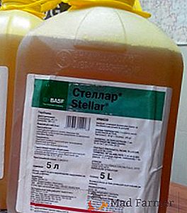 Herbicida "Stellar": método de aplicação e taxas de aplicação
