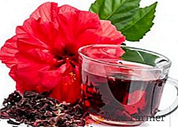 Hibiscus (thé karkade): propriétés utiles et contre-indications