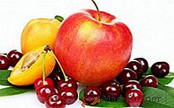 Cum și ce să hrăniți pomi fructiferi și arbuști în primăvară: scheme și reguli pentru aplicarea îngrășămintelor
