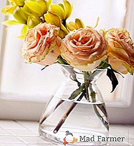 Cât timp să țineți trandafirii într-o vază: 9 sfaturi practice