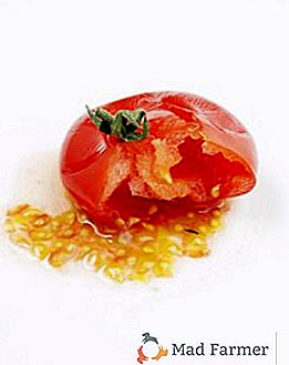 Kako prikupiti sjemenke rajčice za sadnju
