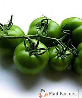 Як заквасити зелені помідори в бочці