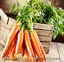 Cómo almacenar zanahorias correctamente: las mejores maneras