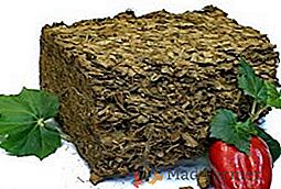 Comment utiliser le substrat de la noix de coco: avantages de l'utilisation pour les légumes et les plantes d'intérieur