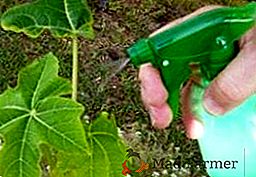 Cómo usar jabón verde para proteger a las plantas de enfermedades y plagas (instrucción)