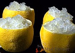 Je možné zmraziť citróny v mrazničke