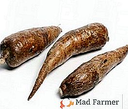 Le manioc est comestible: bon et mauvais