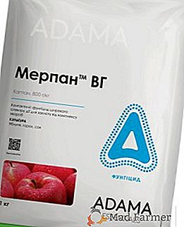 "Merpan" per la protezione dei meli: descrizione, composizione, applicazione