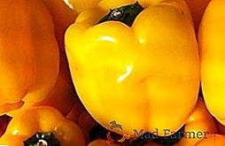 Pepper Gold cud: opis, sadzenie i pielęgnacja