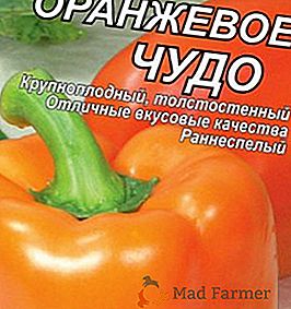 Pepper "Orange čudo": opis i uzgoj