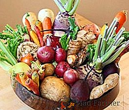 Types populaires de légumes-racines avec description et photo