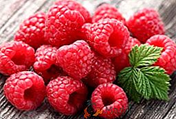 Raspberry for Siberia: zimné odrody odrody