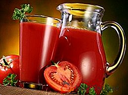 Receta paso a paso para el jugo de tomate para el invierno (con foto)