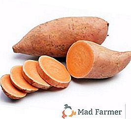 Sladké brambory (sladké brambory): užitečné vlastnosti a kontraindikace
