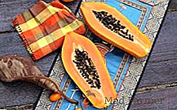 Kakšna je uporaba papaje: uporaba in kontraindikacije