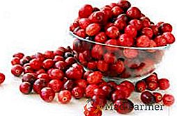 As melhores receitas para colher cranberries para o inverno