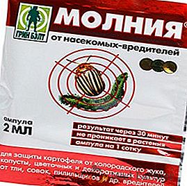 Prípravok "Molniya" z chrobáka z Colorada a iných škodcov: inštrukcie, normy použitia