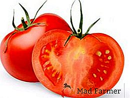 Tomates: el beneficio y el daño de un producto popular