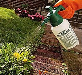 Types d'herbicides: protection des plantes contre les mauvaises herbes