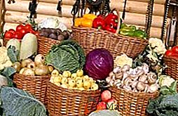 Зберігання овочів: кращі способи зберегти картопля, цибуля, морква, буряк, капусту на зиму