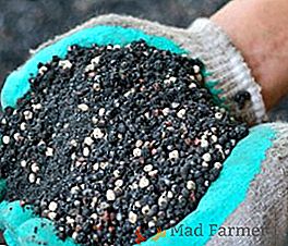 Čo sú a ako používať fosforové hnojivá