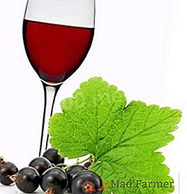 Популярний рецепт приготування вина з чорної смородини в домашніх умовах
