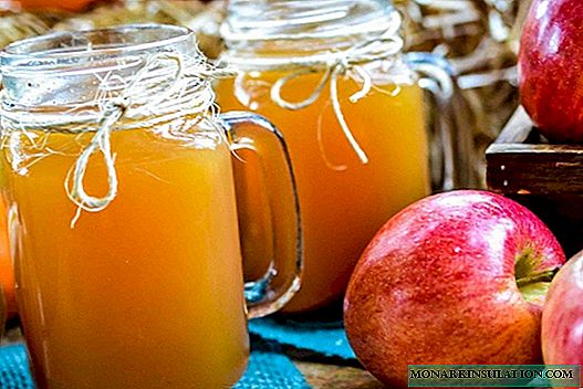 10 alkuperäistä ideaa omenoiden korjaamiseksi talveksi