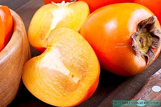 10 originale ideer for høsting av persimmoner til vinteren