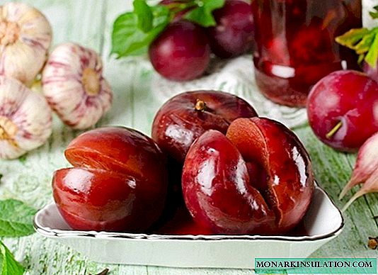 13 delicious plum ideas that you can prepare for the winter for the whole family