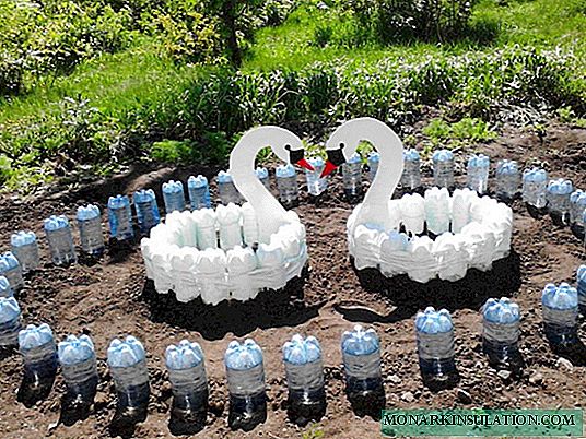 Lo que puede hacer con botellas de plástico para su jardín: 15 aplicaciones