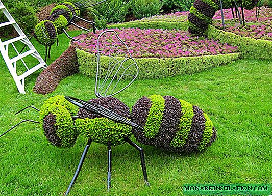 DIY topiary: parsing 3 different techniques for creating green shapes