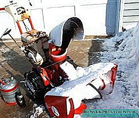 Do-it-yourself snow blower: analysis of the 3 best home-made designs