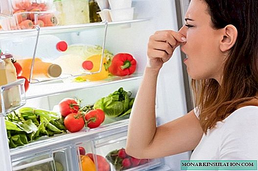 4 דרכים קלות להוציא במהירות את הריח מהמקרר לאחר החגים