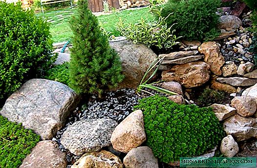 Stenen gebruiken in tuinontwerp: 4 ideeën om een ​​site mooier te maken