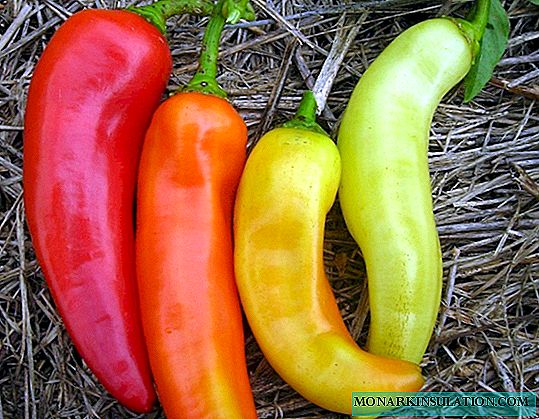4 large varieties of pepper that are immune to diseases worth growing in 2020