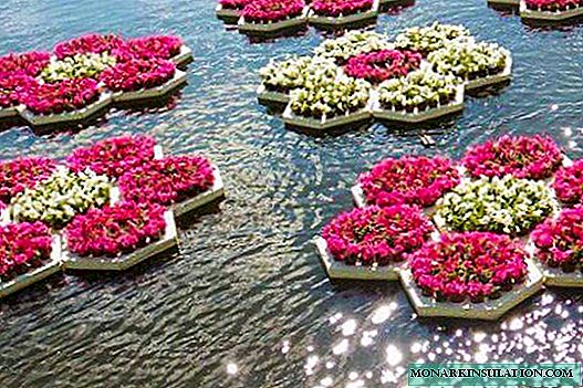 Floating flower beds: 4 ways to make flower mini islands in your pond