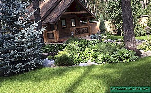 41 the idea of ​​applying the style of naturgarden in landscape design (photo)