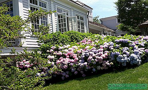 Comment briser un beau jardin fleuri devant la maison à la campagne: 5 options pour tous les goûts