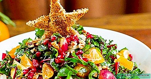 Untuk gourmets benar: 5 salad yang akan membuat Tahun Baru 2020 manis
