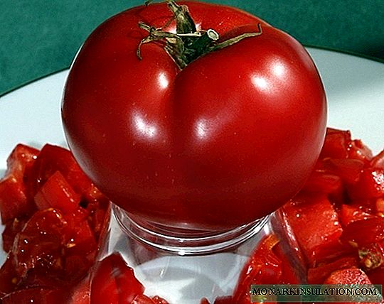 5 sjeldne samlingsvarianter av tomater som kan interessere deg