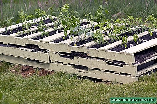 5 original ways to use pallets in the area
