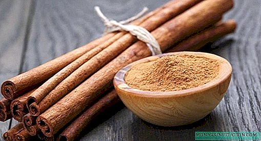 5 useful properties of cinnamon to solve problems in the garden