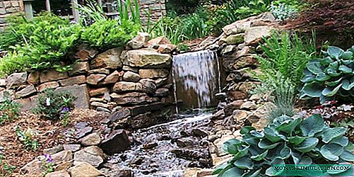 Manifestations de l'eau dans l'aménagement paysager: 5 options de structures d'eau pour tous les goûts