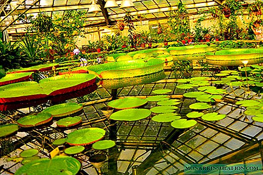6 прекрасних ботаничких вртова Русије, у којима можете завирити пуно занимљивих идеја за своју цветну башту