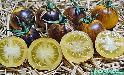 6 variétés rares de tomates 2020 qui vous apporteront une récolte décente